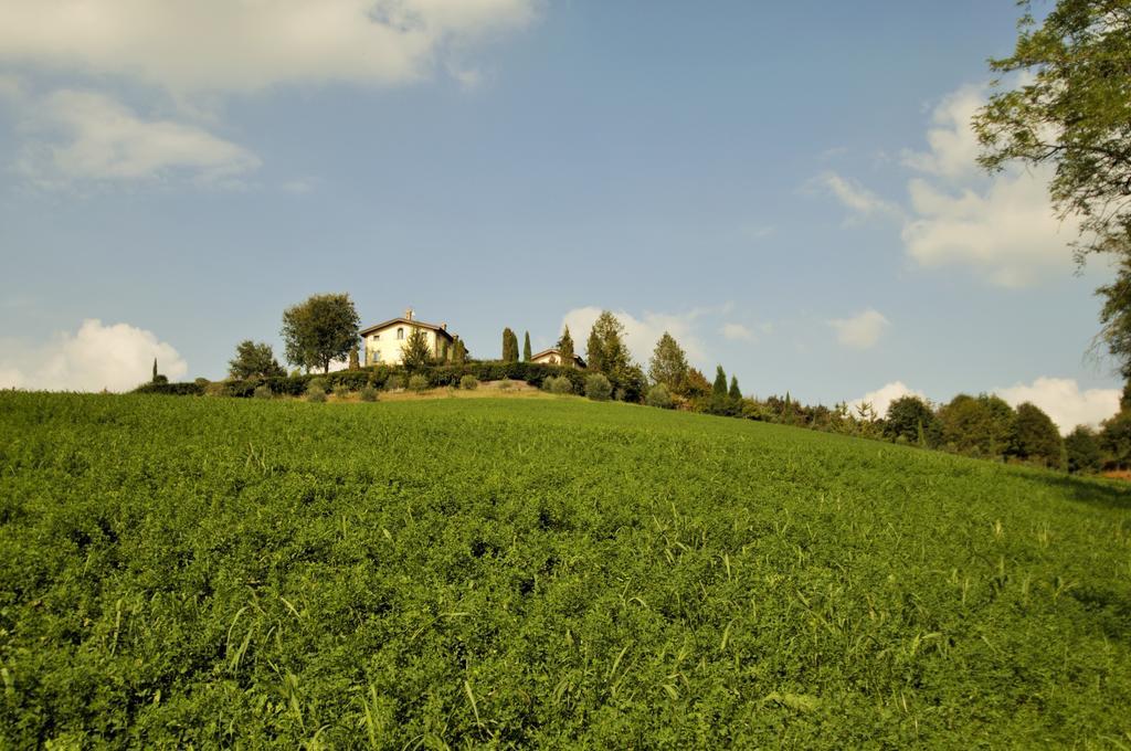 La Vedetta * Castelvetro di Modena